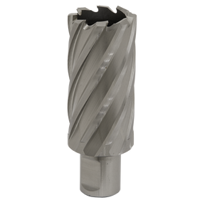 The Sealey Rotabor Cutter HSS Ø31mm - Cut Depth 50mm (RBHSS31L) features a silver metal core drill bit made from HSS M2 steel, complete with spiral flutes and a cylindrical Weldon shank.