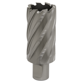 Rotabor Cutter HSS Ø33mm - Cut Depth 50mm - RBHSS33L - Farming Parts