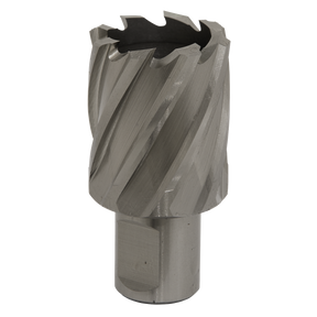 A close-up view of the Sealey Rotabor Cutter HSS Ø33mm - Cut Depth 25mm (RBHSS33S), a cylindrical-shaped metal annular cutter made from HSS M2 steel with spiral flutes and sharp cutting edges, designed for drilling large holes in metal. It features a 19mm Weldon shank, making it perfect for use with magnetic drills.