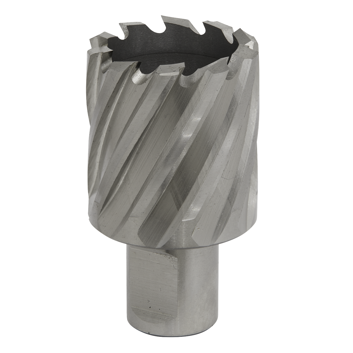 Close-up image of a silver, cylindrical Rotabor Cutter HSS Ø34mm with a cut depth of 25mm and spiral flutes, made from HSS M2 steel. It features a Universal 19mm Weldon shank and is used for metal drilling applications with magnetic drills by the brand Sealey. Product code: RBHSS34S.