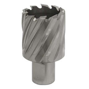 Close-up image of a silver, cylindrical Rotabor Cutter HSS Ø34mm with a cut depth of 25mm and spiral flutes, made from HSS M2 steel. It features a Universal 19mm Weldon shank and is used for metal drilling applications with magnetic drills by the brand Sealey. Product code: RBHSS34S.