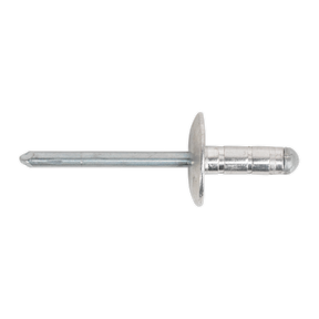 Close-up view of a Sealey Aluminium Multi-Grip Rivet Large Flange 4.8 x 13mm (RM4813L), on a white background, from a pack of 200.