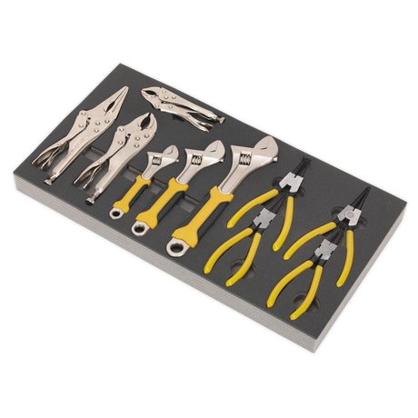 Tool Tray with Adjustable Wrench & Pliers Set 10pc - S01130 - Farming Parts