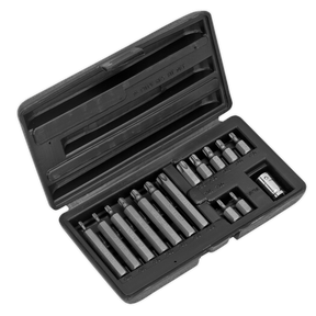 The Sealey TRX-Star* Bit & Holder Set 15pc - Metric - S0532 includes various screwdriver bits such as flathead, Phillips, and Torx. All bits are made from durable Chrome Vanadium steel and are neatly organized in designated slots within a plastic case.