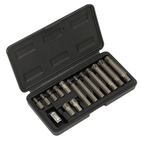 Ribe Bit & Holder Set 15pc - 3/8"Sq Drive - S0871 - Farming Parts
