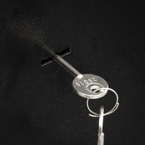 3 Gun Cabinet with Ammo Safe - SE-SGS3AB