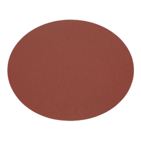 A round, flat, brown surface viewed from above, with a smooth, unbroken texture, much like the finish of the Sealey Sanding Disc Ø305mm 80Grit PSA (SM31/38).