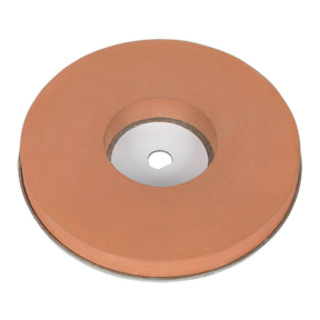 A bench grinder equipped with a circular abrasive grinding wheel, Model No. SMS2107, featuring a central hole, is ideal for sharpening or grinding metal surfaces. For advanced uses, consider the Sealey Wet Stone Wheel Ø200mm for SMS2107 (Model No. SMS2107GW200W) for enhanced precision and longevity.