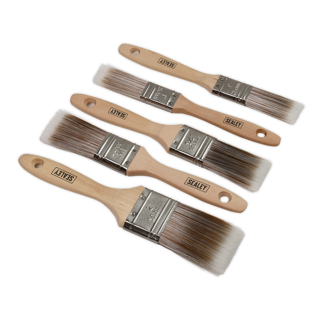 Wooden Handle Paint Brush Set 5pc - SPBS5W - Farming Parts