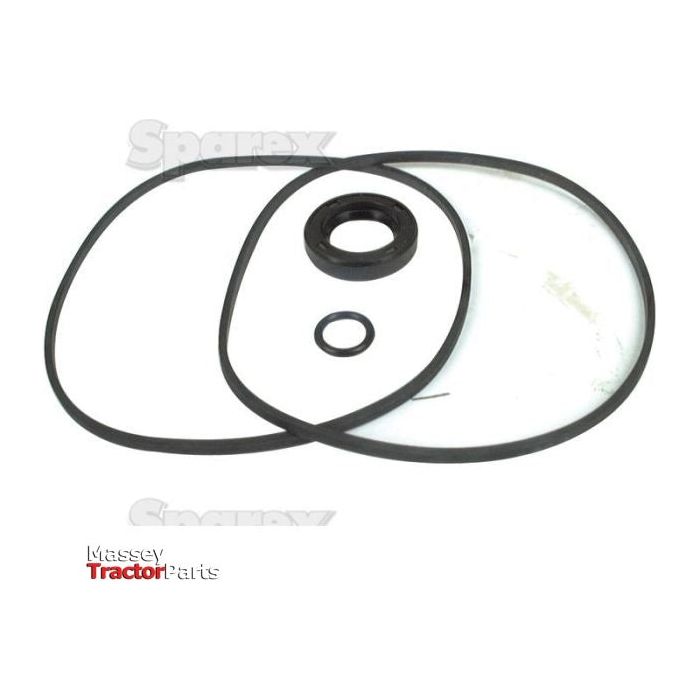 Image of a Sparex Seal Kit (Hydraulic Pump) | Sparex Part No.S.57972, featuring two large oval gaskets, one small circular gasket, and a large circular gasket for the hydraulic pump, displayed against a white background.