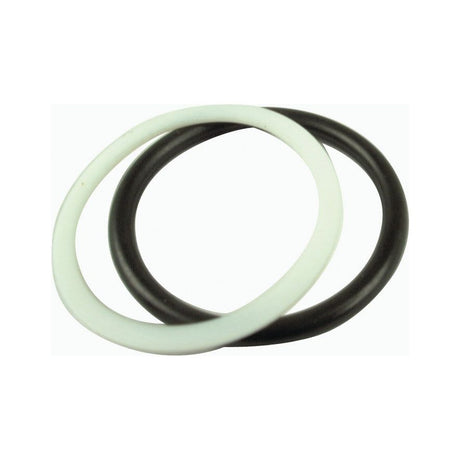 Two interlinked rubber O-rings, one white and one black, on a white background, perfect as 3/4'' Quick Release Coupling Replacement Seals. Product: Seal Repair Kits for Quick Release Couplings 3/4" (Fits: S.8629) | Sparex Part No.S.18103 by Sparex.