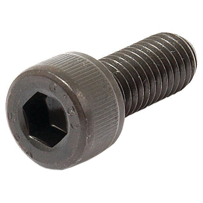 A Sparex Socket Capscrew, M10x25mm (DIN 912) with a threaded shaft and knurled head lies on a white background.