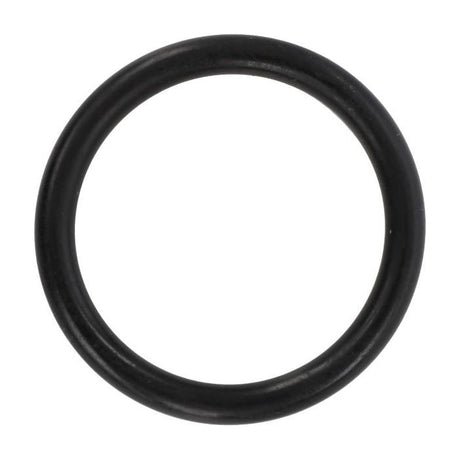 A Massey Ferguson - Steering Column O Ring (part number 1850234M1) by AGCO, made of black Nitrile Rubber, isolated on a white background.