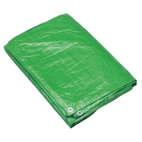 Tarpaulin 4.88 x 6.10m Green - TARP1620G - Farming Parts