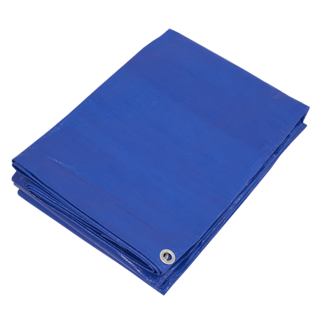 Lightweight PE Tarpaulin 5.49 x 7.32m - Blue - SE-TARP5070
