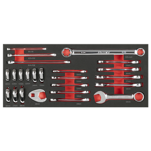 Premier Stubby Combination, TRX-Star* & Crow's Foot Spanner Set with Tool Tray 24pc - SE-TBT50