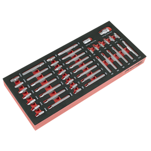 Premier TRX-Star*, Hex & Spline Bit Set with Tool Tray 44pc - SE-TBT60