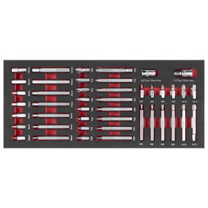 Premier TRX-Star*, Hex & Spline Bit Set with Tool Tray 44pc - SE-TBT60
