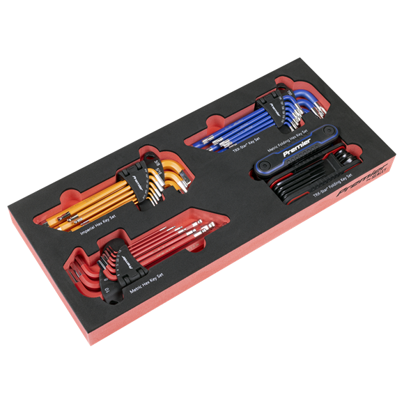 Premier Master Key Set with Tool Tray 43pc - SE-TBT62