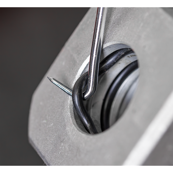 Premier Scraper & Hook Set with Tool Tray 9pc - SE-TBT65