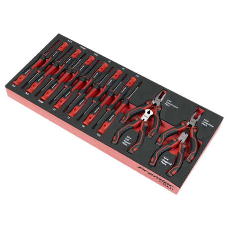 Premier Precision Screwdriver & Mini Pliers Set with Tool Tray 17pc - SE-TBT67