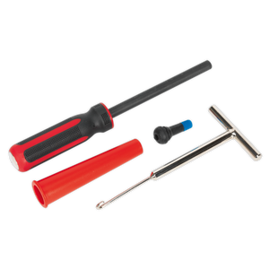 A set of tools from Sealey, including a time-saving TSTVRK Tyre Valve Removal/Installation Tool: a screwdriver with a red and black handle, a red cylindrical case, a small blue and black tool, and a T-shaped metal valve hook tool.