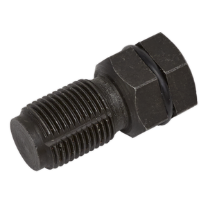 A close-up of the Sealey Oxygen Sensor Port Thread Chaser M18 x 1.5mm - VS528, featuring a black, hexagonal-headed bolt with a threaded shaft, perfect for M18 x 1.5mm exhaust oxygen sensor ports.