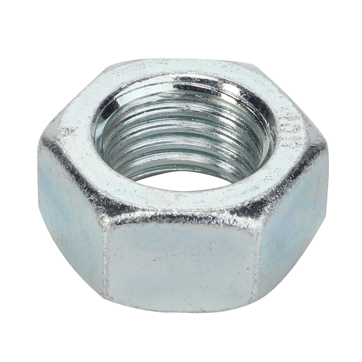 AGCO | Hex Nut - 3009747X1 - Farming Parts