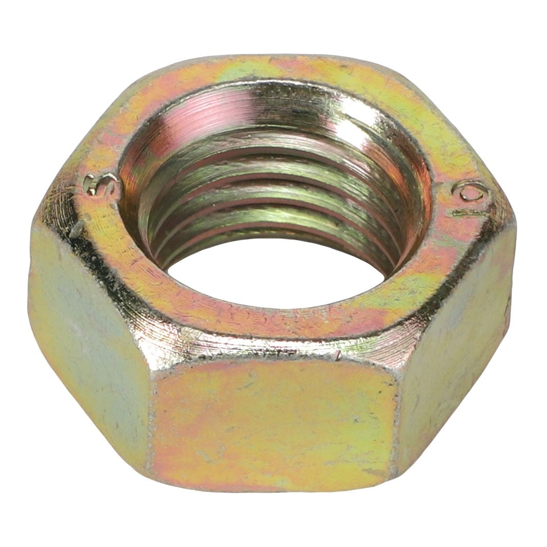 AGCO | Hex Nut - 3009746X1 - Farming Parts