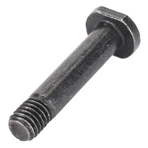 Close-up of the AGCO Bolt - F312500030170, a black hex bolt with a partially threaded shaft. No current product description available for this product.