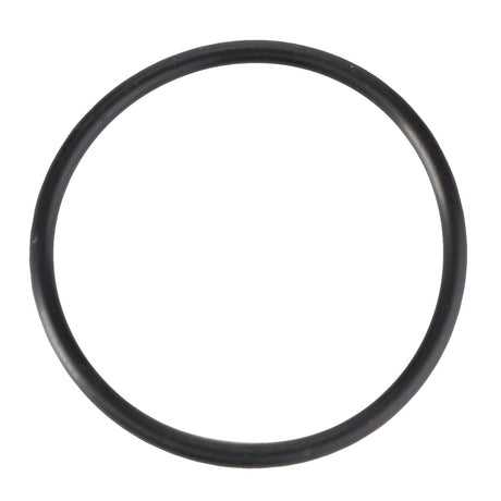 *STOCK CLEARANCE* - O Ring - 3010474X1 - Farming Parts