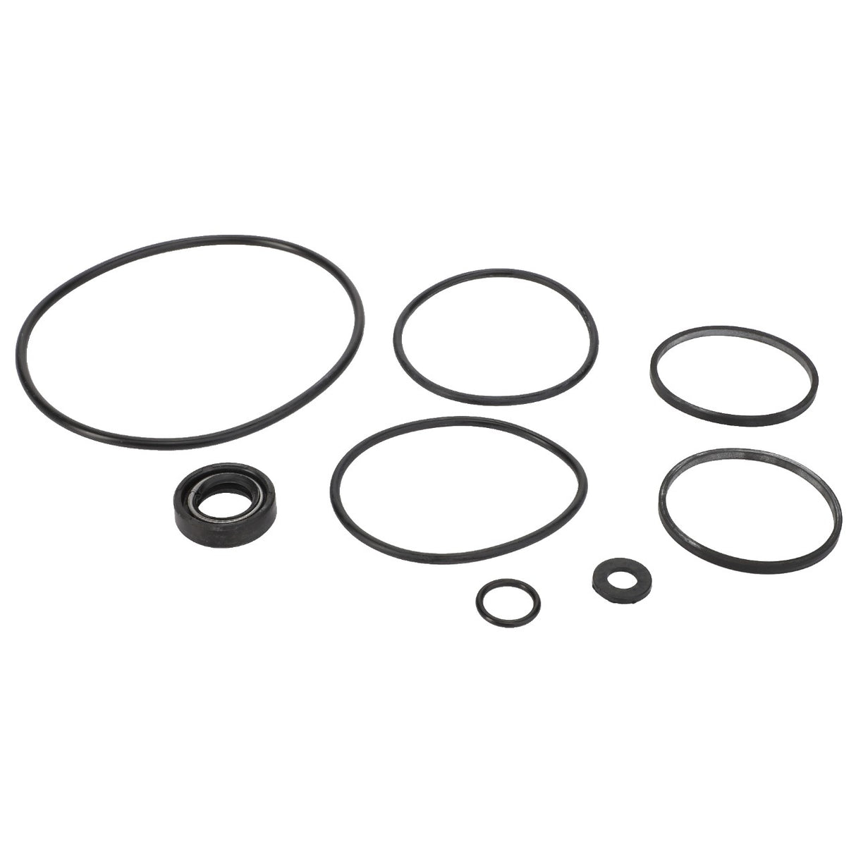 AGCO | Seals Kit | AG-1810417M91