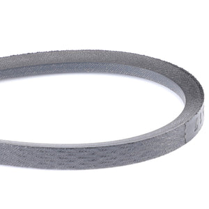 AGCO | V-Belt | AG-1809095M2