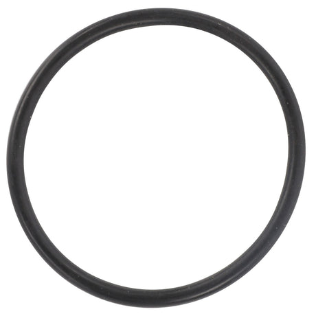 The AGCO O Ring - 3008830X1, presented with no current product description available, displayed against a plain white background.