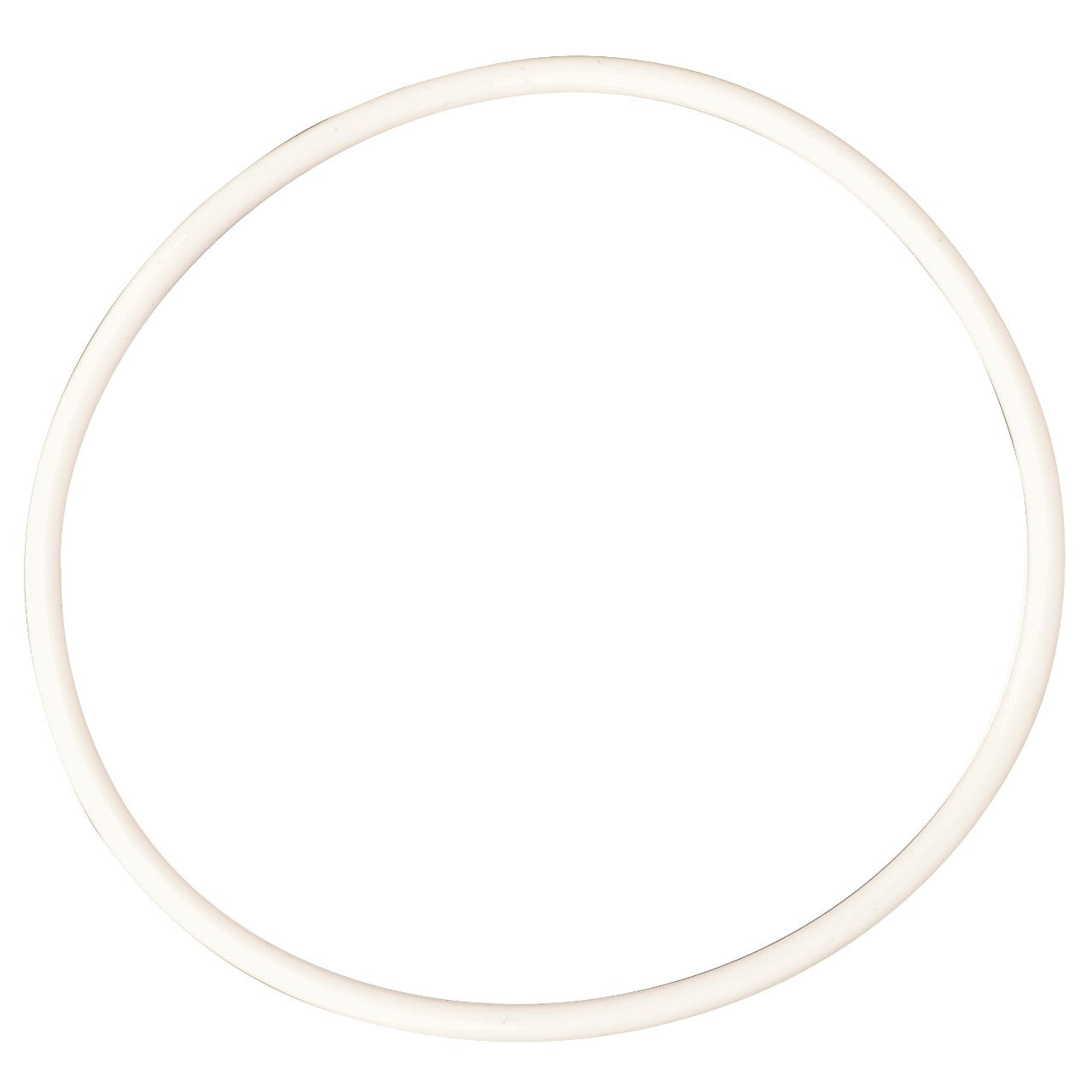 A plain, white circular ring crafted from high-quality materials on a white background—AGCO | Seal, Injection Pump - F100001166103 by AGCO.