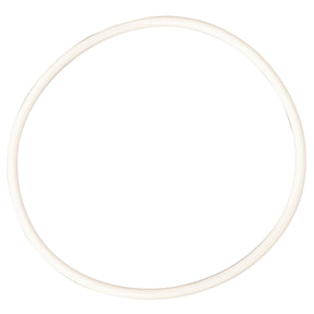A plain, white circular ring crafted from high-quality materials on a white background—AGCO | Seal, Injection Pump - F100001166103 by AGCO.