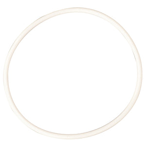 A plain, white circular ring crafted from high-quality materials on a white background—AGCO | Seal, Injection Pump - F100001166103 by AGCO.