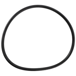 AGCO | O-Ring | AG-X549031301000