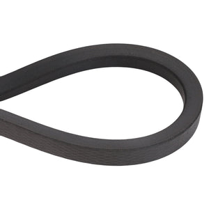 AGCO | V BELT - D41970100