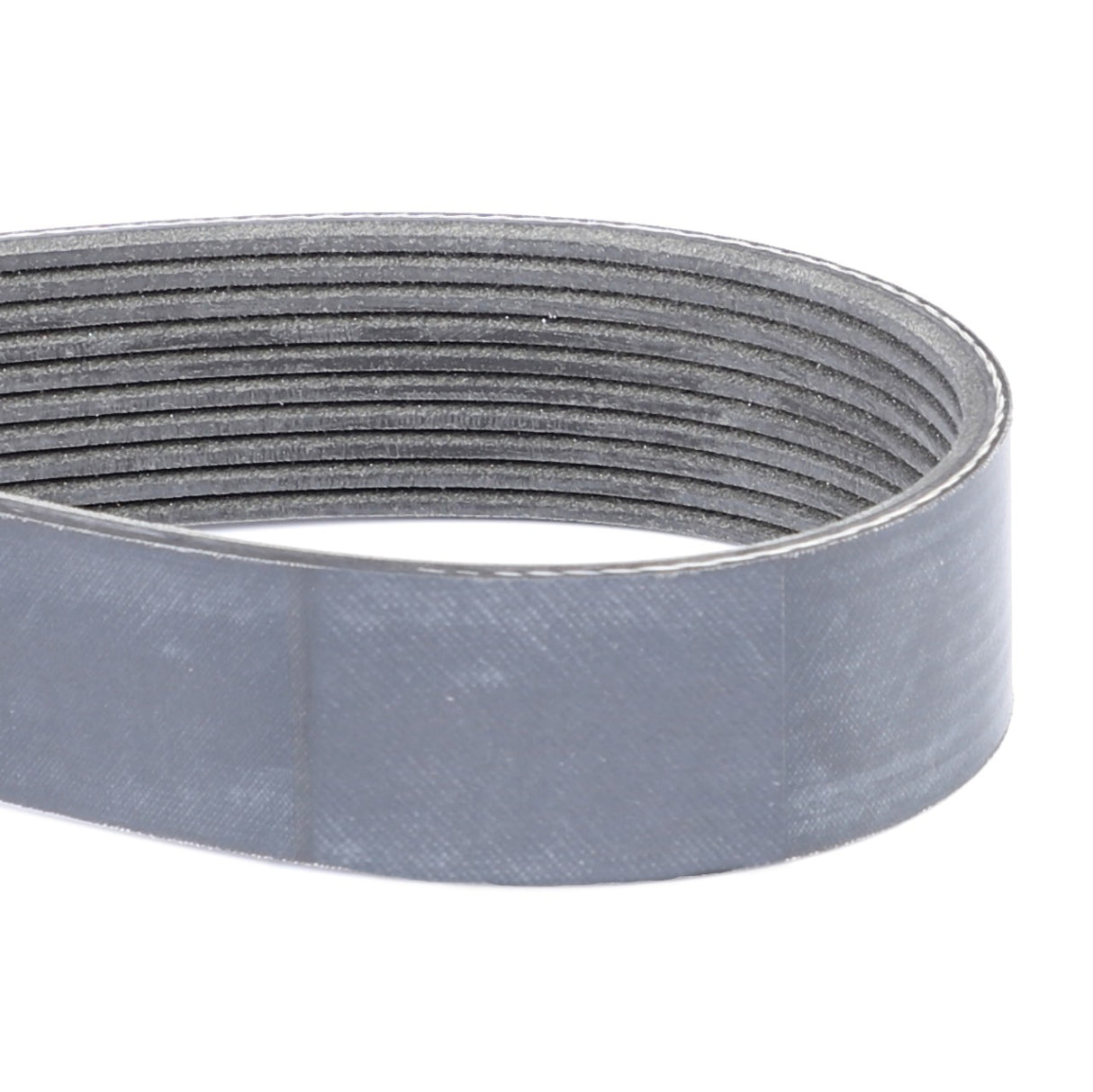 AGCO | Serpentine Belt, Pk10 Profile | AG-F842201040020