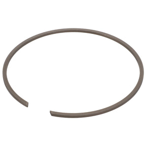 A single AGCO Internal Retaining Ring - 3002189X1, gray in color, is displayed against a white background. The ring is circular with a small gap, indicating it is not a complete loop. No current product description available.