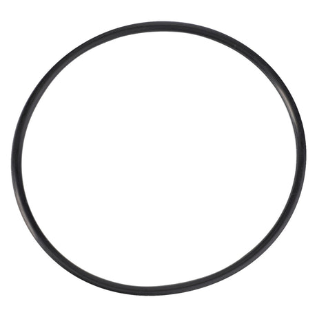 An AGCO | O-Ring - 70924770 isolated on a white background, ideal for high-performance demands in Massey Ferguson models.