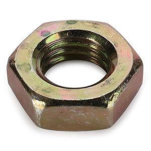 AGCO | LOCKNUT - D41012100