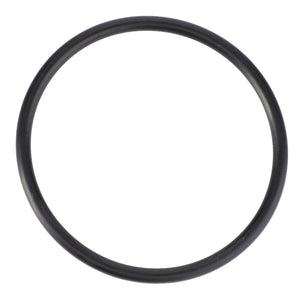 AGCO | O-Ring, Ø 40,94 X 2,62 Mm | AG-X548909601000