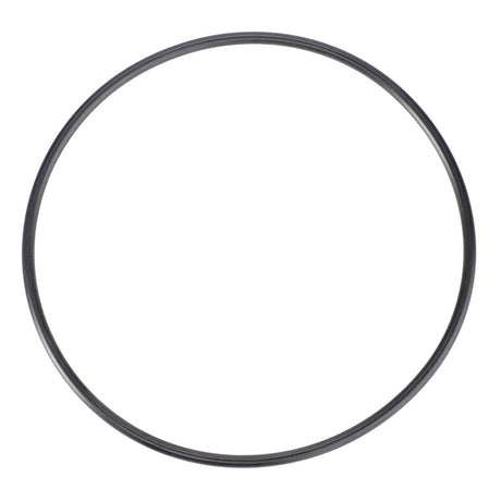 AGCO | O-Ring, Ø 80 X 2,5 Mm - X548964700000 - Farming Parts