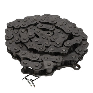 AGCO | Roller Chain | AG-Lm98003898