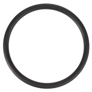 Image of the AGCO Seal, Lift Pump - F100001174706, a black rubber O-ring made from high-quality materials and typically used for sealing connections in machinery and plumbing systems to meet performance demands.