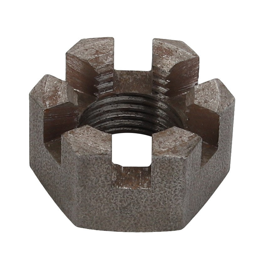 The AGCO | NUT - D25200384 is a robust metal castle nut featuring six precision slots and an internally threaded hole for secure fastening.