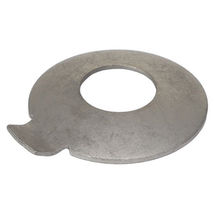 AGCO | THRUST WASHER - F743300021850