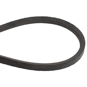 Close-up of the AGCO V BELT - D26747034, showcasing its black rubber textured surface and looped form against a stark white background.